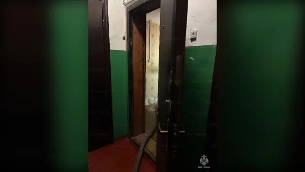Пожар в Киржаче: эвакуация квартиры на Ленинградской