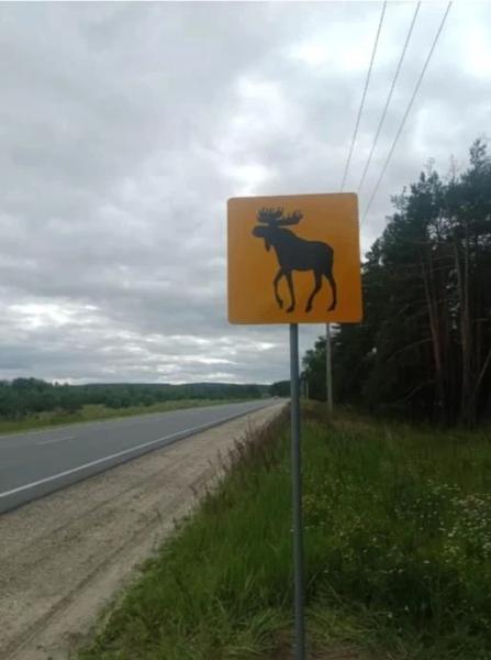 Интервью и мнения жителей Владимира