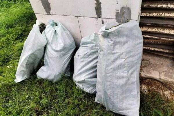 Последние происшествия во Владимире