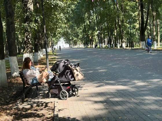 Интервью и мнения жителей Владимира
